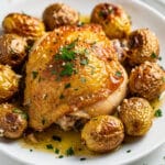 Golden brown garlic parmesan chicken and crispy potatoes in ceramic dish.