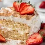 Close up Tres Leches Cake slice with creamy cinnamon dusted topping